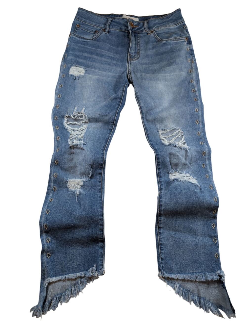 B.O.G. Gypsy Sophia Jeans Women's 27 Blue Denim Embroidery Fray Hem Grunge Y2K